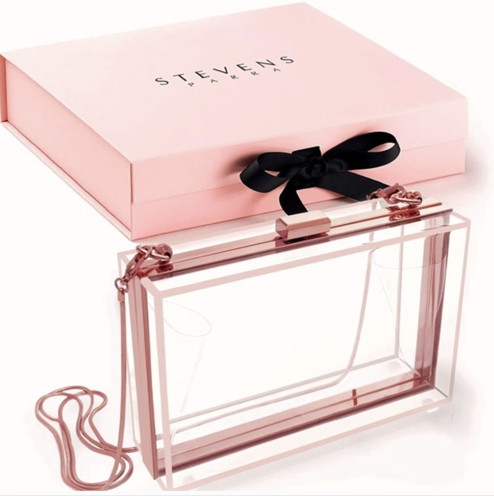 Stevens Parra acrylic clutch